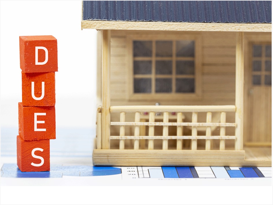 Noida authorities have sealed the offices of 12 developers, including Antariksh Engineers, Elegant Infracon, and Uttam Steels, for failing to clear dues exceeding Rs 175 crore.