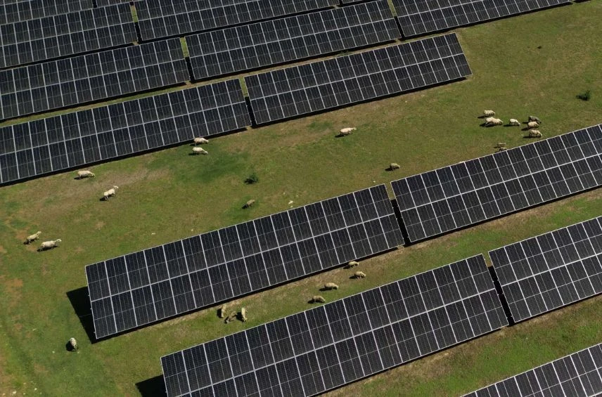 ReNew Power is investing ₹22,000 crore to establish India’s largest renewable energy complex in Andhra Pradesh after a five-year hiatus.