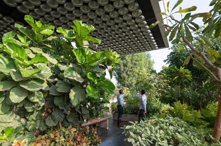 DY Patil University Centre of Excellence