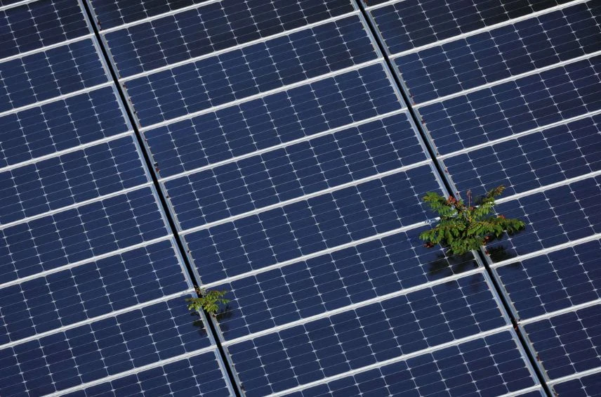 Acme Solar reported a 130.7% rise in PAT to ₹251 crore in FY25, up from ₹109 crore in FY24, driven by strong capacity additions and higher power generation.