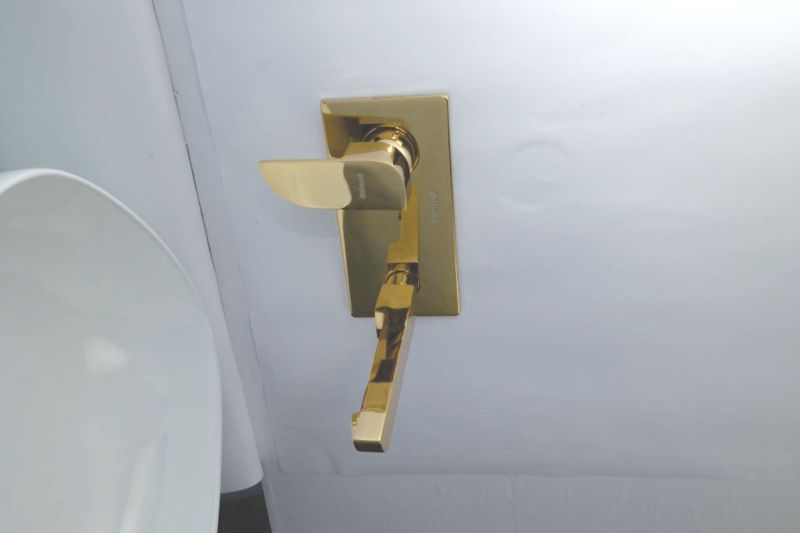 CP Faucet Colour Range – Style, Innovation & Durability by Prayag India