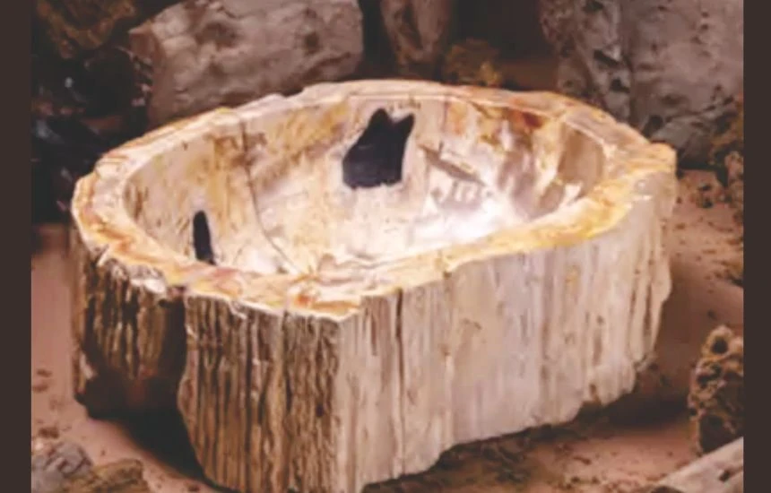 Sustainable Elegance – Petrified Wood Washbasins