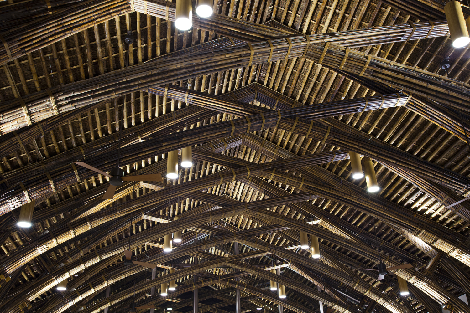 Naman Retreat Conference Hall, Vietnam – A Bamboo Landmark in Sustainable Architecture