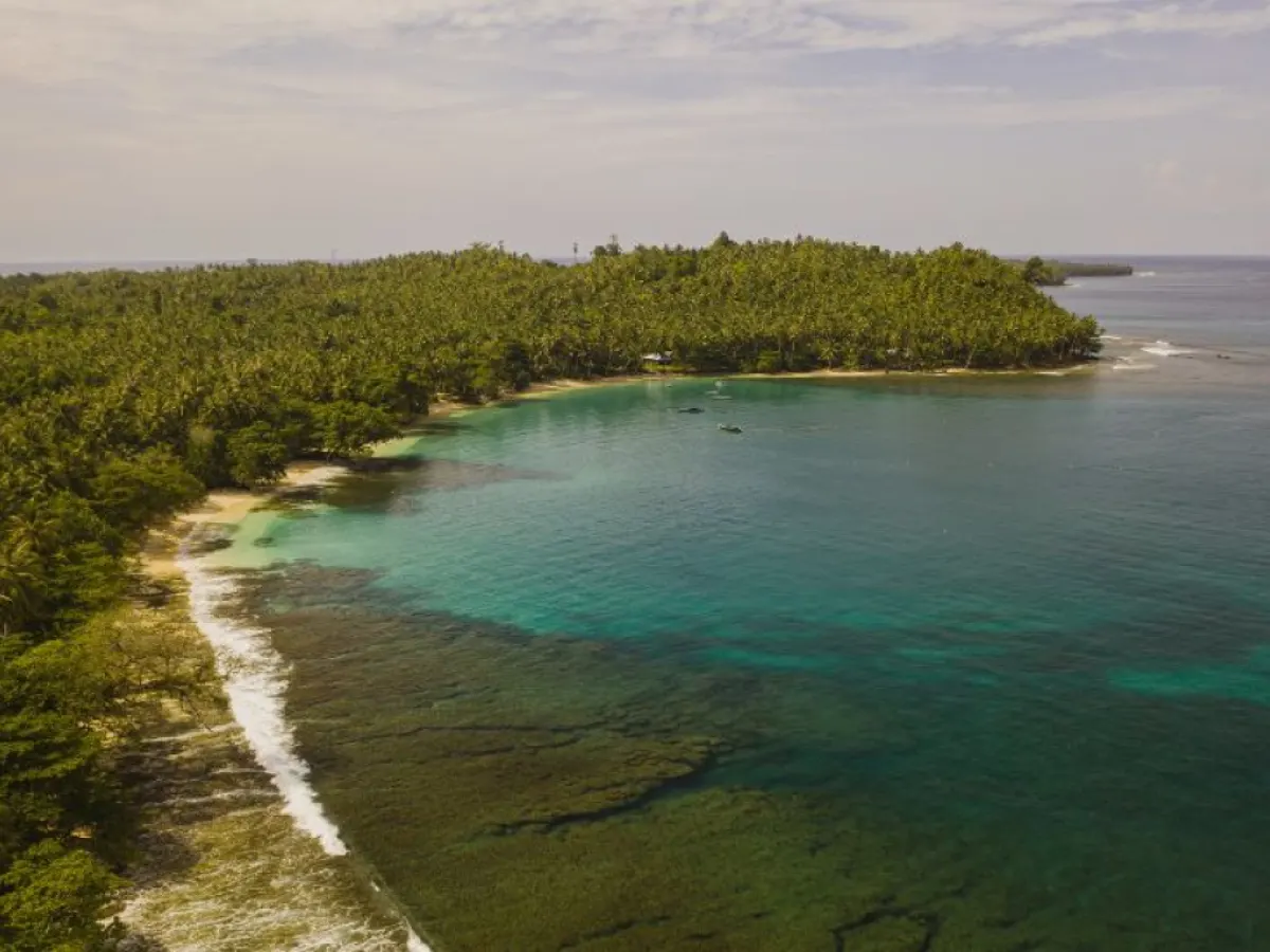 Tribunal cites strategic importance while calling for strict compliance with green norms.