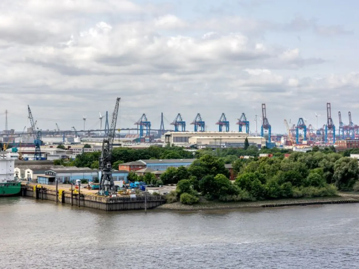 Cargo diversification and efficiency power strong throughput growth.