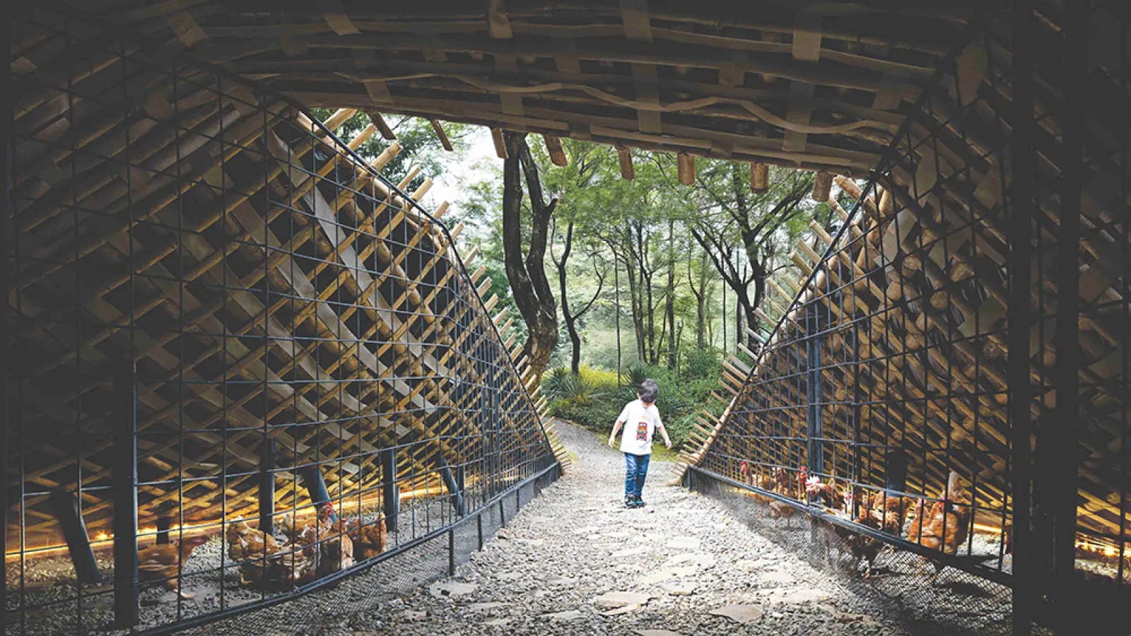 Chicken Hero Pavilion – A Circular Economy Prototype in Bali by RAD+ar