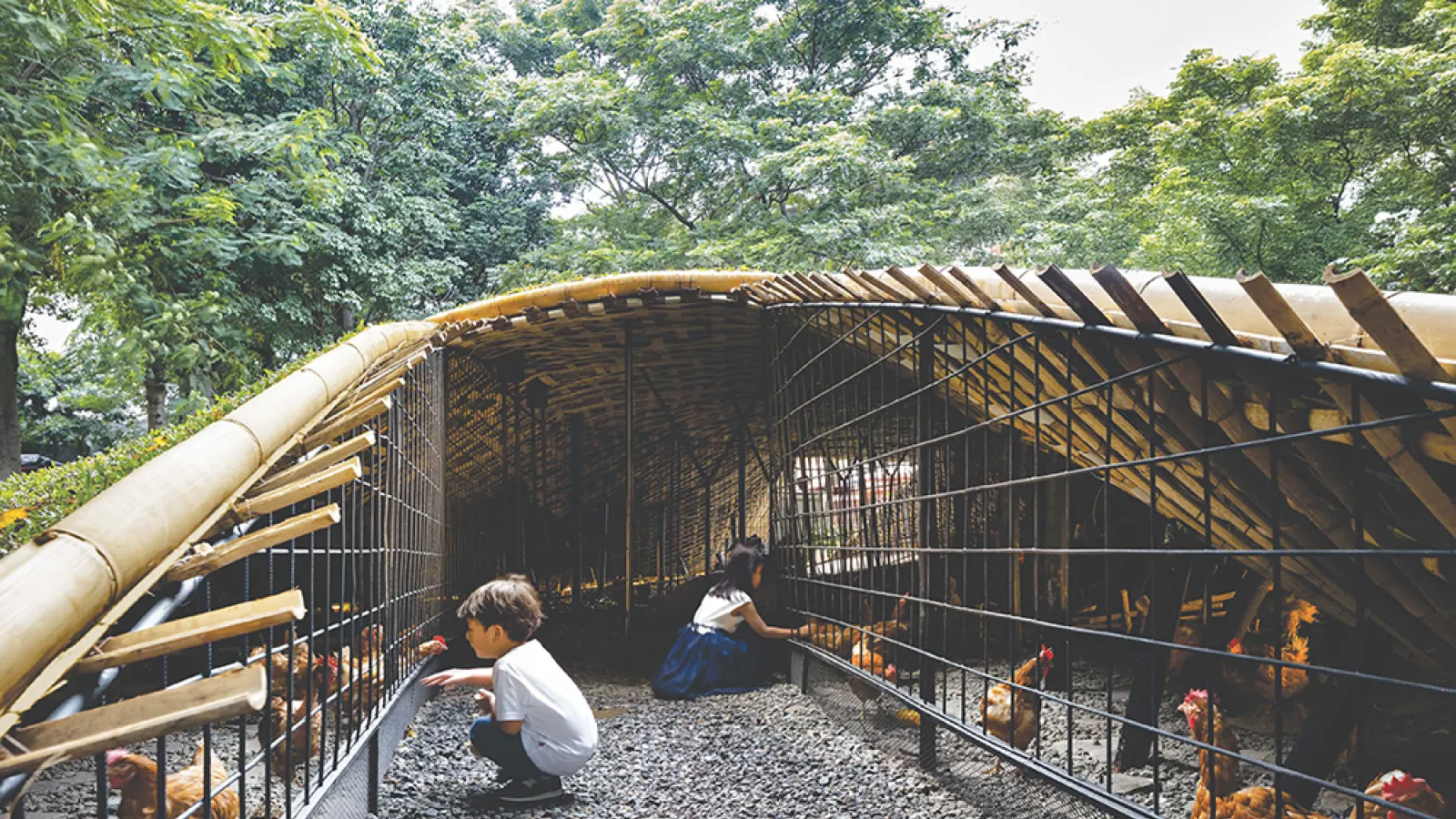 Chicken Hero Pavilion – A Circular Economy Prototype in Bali by RAD+ar
