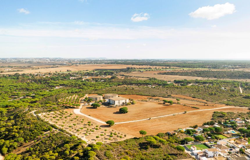 Global manufacturing review and land monetisation drive major divestment move.