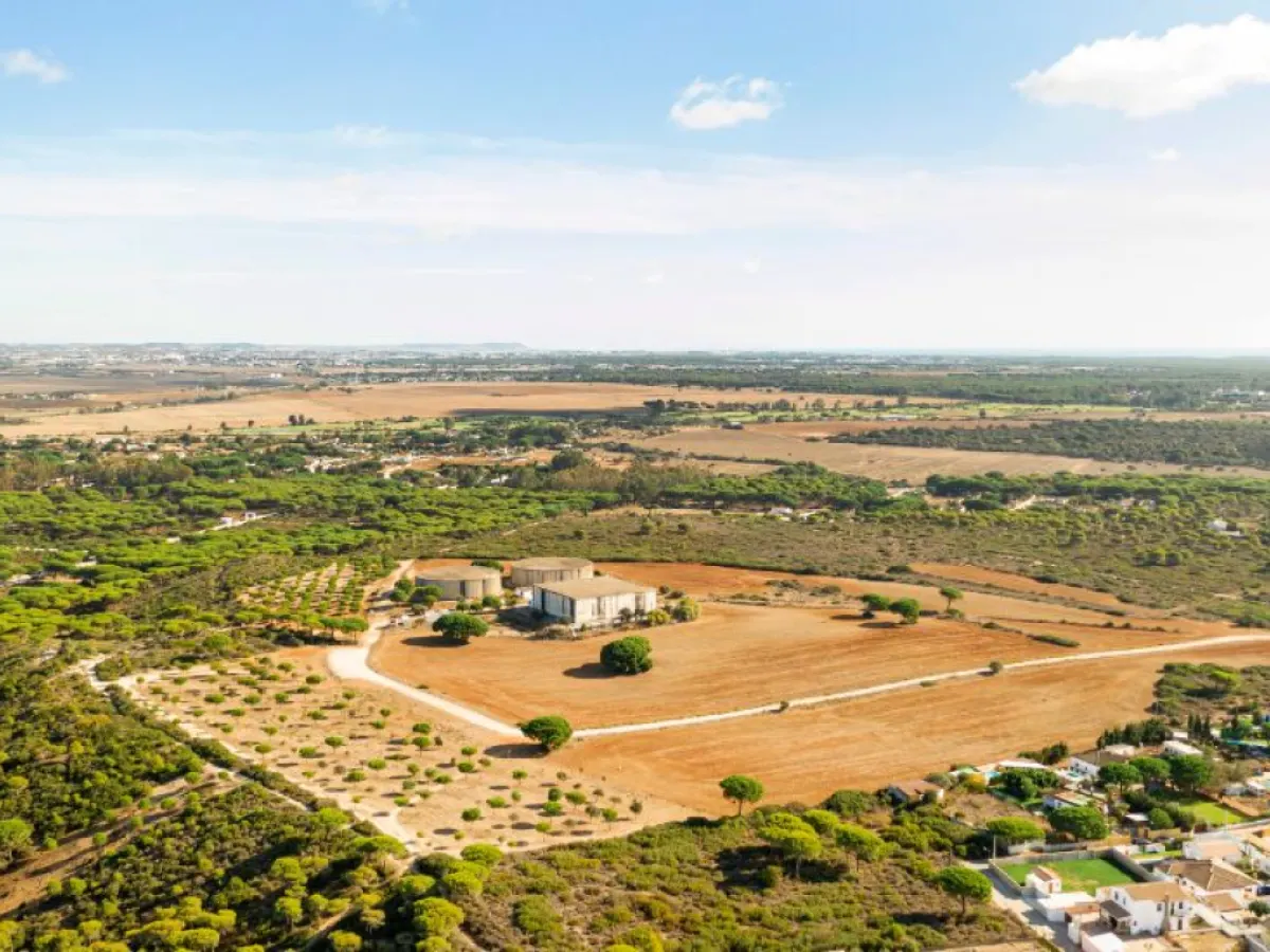 Global manufacturing review and land monetisation drive major divestment move.