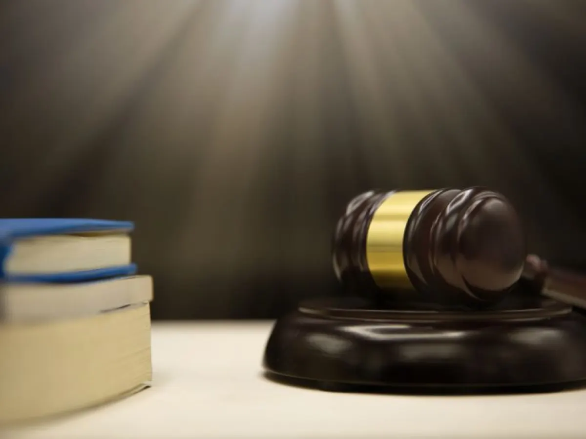 Allegations of discrimination, lack of transparency, and denial of fair hearing surface in Lavasa insolvency case.