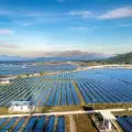 JK Cement Invests ₹2.81 Crore in Solar-Storage SPV for Rajasthan Project