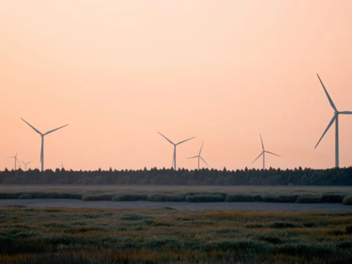 The renewable energy major strengthens its green power portfolio amid strong revenue and profit growth in FY26.