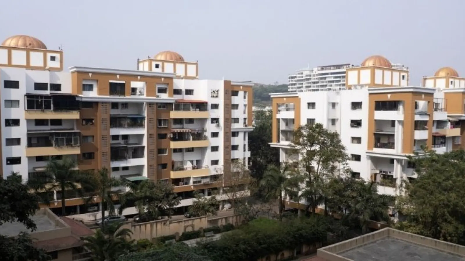 Zydex Paints Introduces India’s First Silicate Mineral Paint Technology