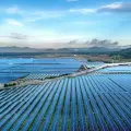 Developers warn that the current ceiling is squeezing margins and deterring energy storage investments.
