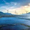Deal lifts Suzlon–Sunsure partnership close to 300 MW, boosts C&I wind push.