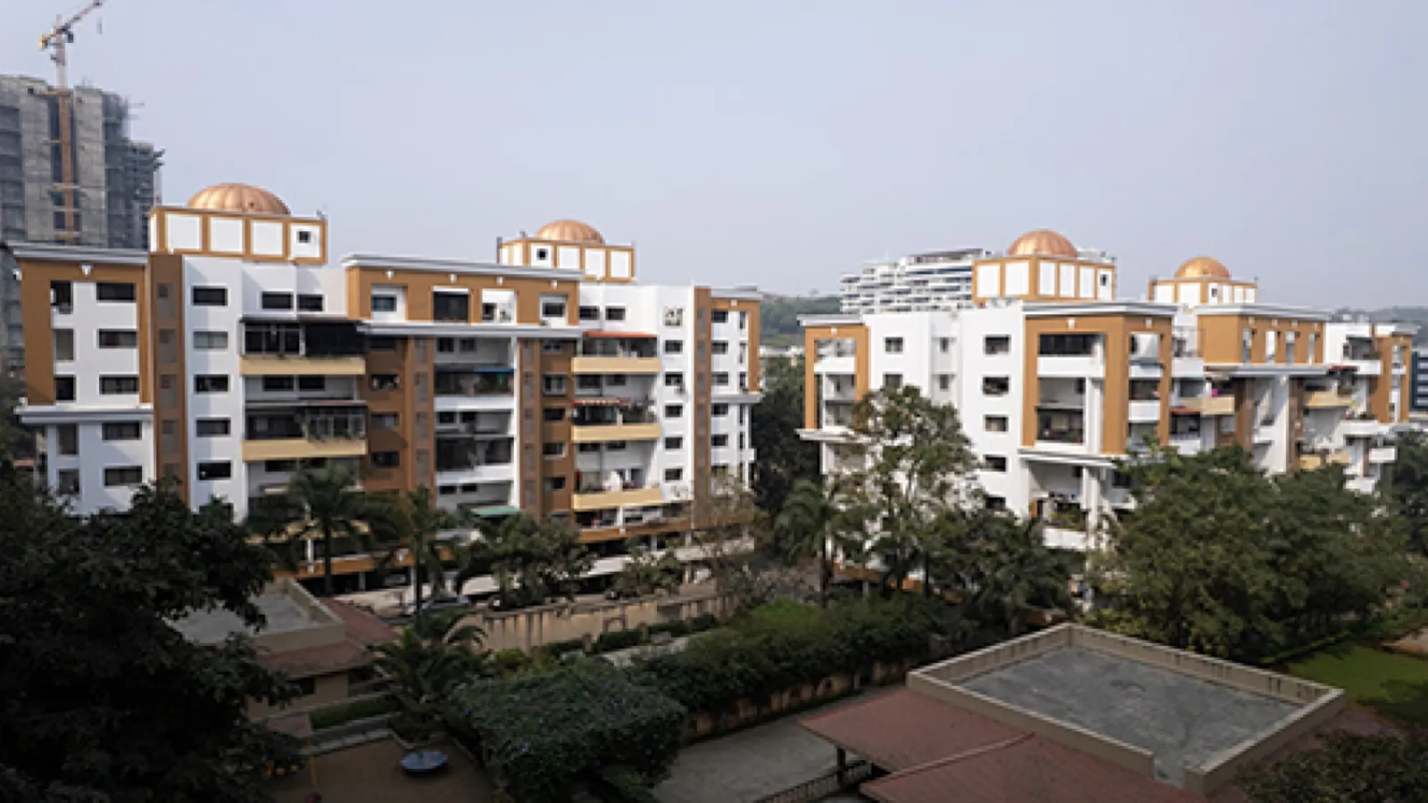 Zydex Promotes Fire-Resistant Mineral Paint Technology for Safer Buildings in India