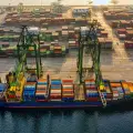 Party warns proposed MSC entry could undermine competition and dilute state control over strategic port.