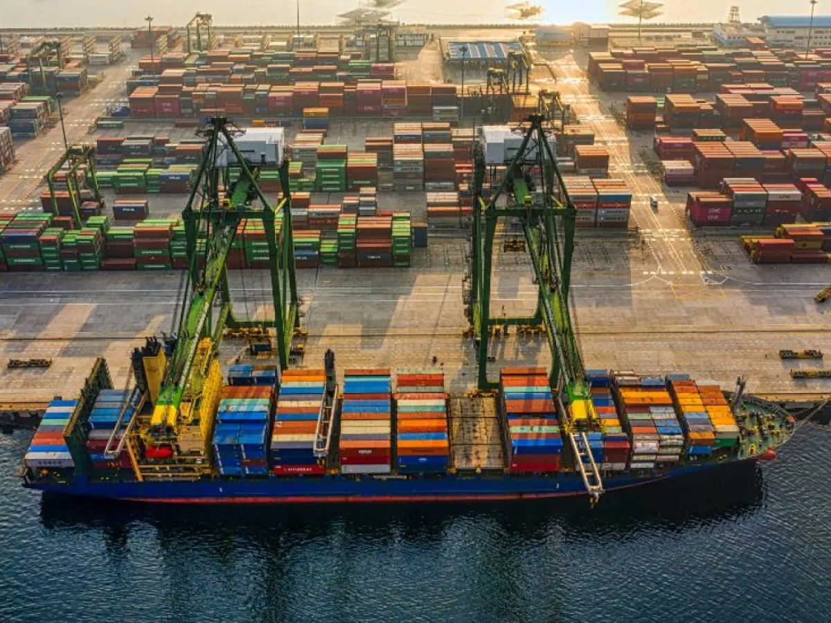 Party warns proposed MSC entry could undermine competition and dilute state control over strategic port.