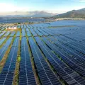 5 Maharashtra Farmers Allegedly Duped of ₹1 Crore in Solar Project Scam.