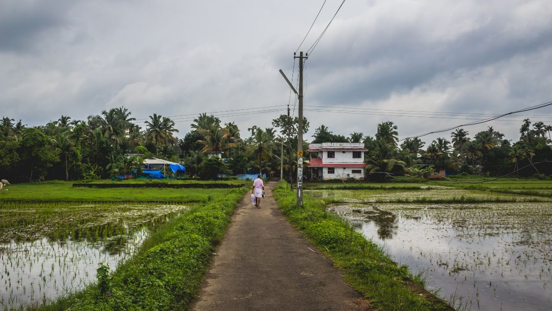 DTCP Directs DLF to Intensify Monitoring of Vacant Plots in DLF 3.