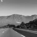 NHAI to Remove Stray Animals from National Highways Under New Safety Rules.