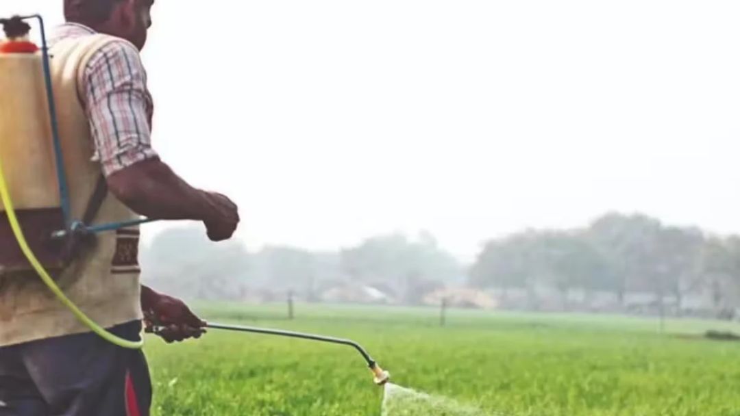 Urea Import Prices Hit 15-Month Low, Easing India’s Fertiliser Subsidy Pressure.