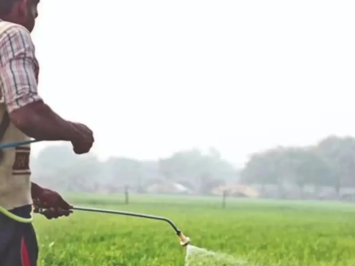 Urea Import Prices Hit 15-Month Low, Easing India’s Fertiliser Subsidy Pressure.