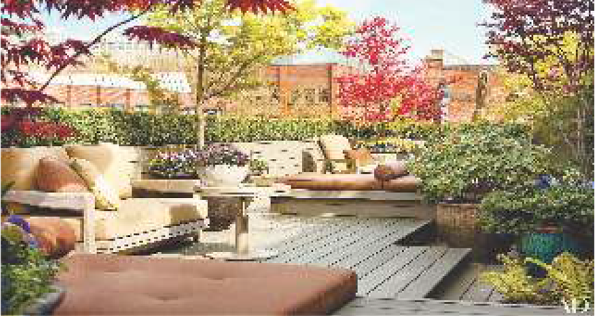 Rooftop Garden Design Ideas:  Tips To Set Up And Maintain A Roof Top Garden